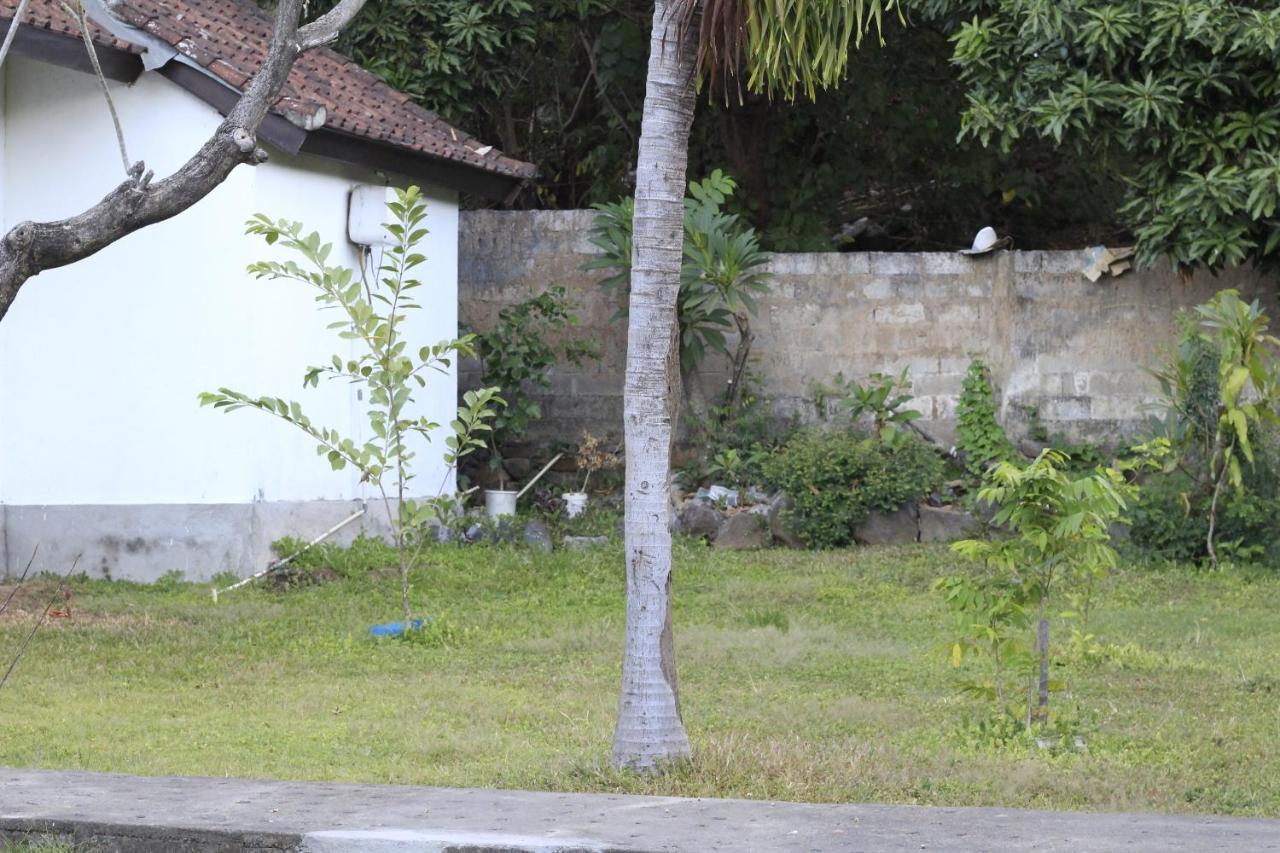 Coconut Beach Bungalows & Warung 2 艾湄湾 外观 照片
